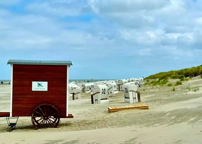 De Balken - 8 Luetje Balken *